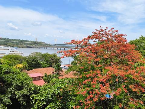 Mandovi River and bridge, Goa